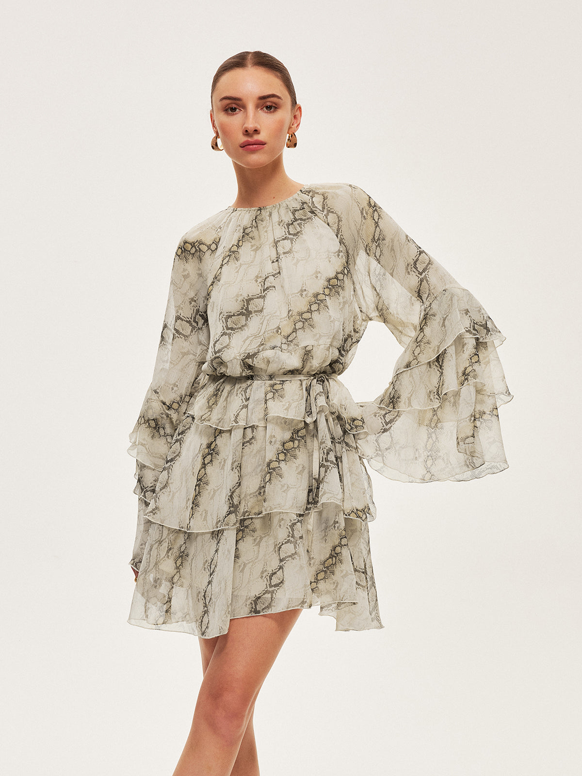Sheer Print Ruffle Tie-Waist Dress - Chic Rio